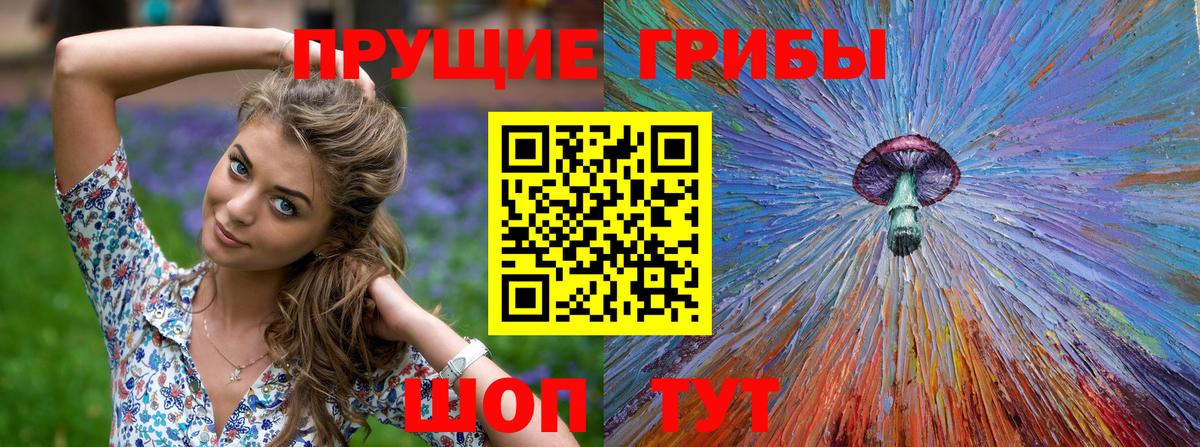 Псилоцибиновые грибы GOLDEN TEACHER Янаул